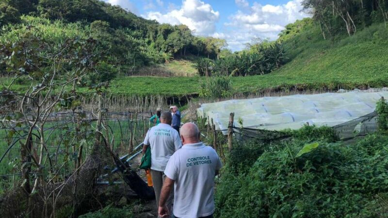 Febre oropouche ultrapassa 500 casos confirmados no Ceará em 2025; veja cidades