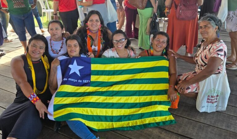 Piauí participa de discussões na Conferência Regional das Mulheres Indígenas com propostas aprovadas