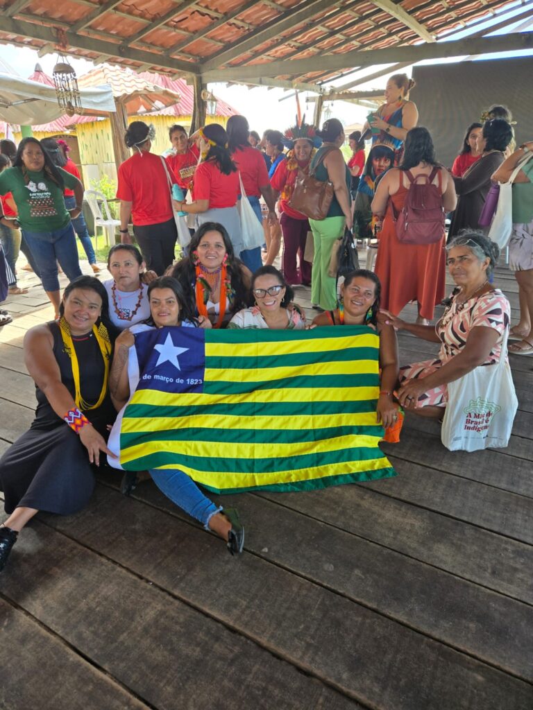 Piauí participa de discussões na Conferência Regional das Mulheres Indígenas com propostas aprovadas
