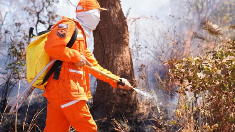 Maranhão Sem Queimadas avança em ações preventivas de combate a incêndios florestais no estado