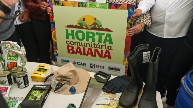 Kits para hortas comunitárias amplia produção de alimentos em 100 municípios baianos