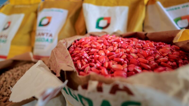 Governo de Alagoas investe mais de R$ 26 milhões em ações para agricultura familiar no primeiro semestre