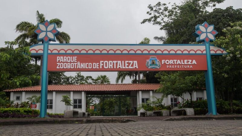 Reforma do Zoológico de Fortaleza deve ser concluída neste mês após mais de 2 anos, diz Prefeitura