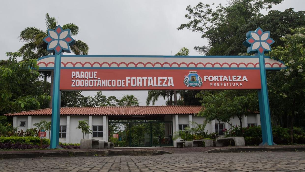 Reforma do Zoológico de Fortaleza deve ser concluída neste mês após mais de 2 anos, diz Prefeitura
