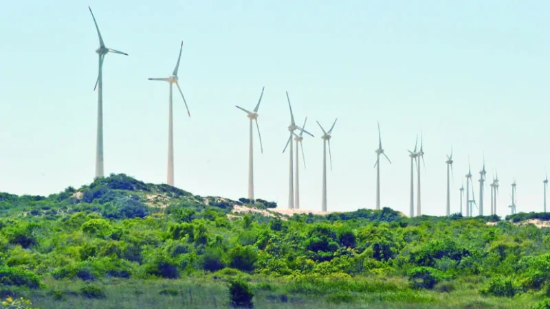 Destaque na produção de energia eólica em terra, RN avança para geração no mar