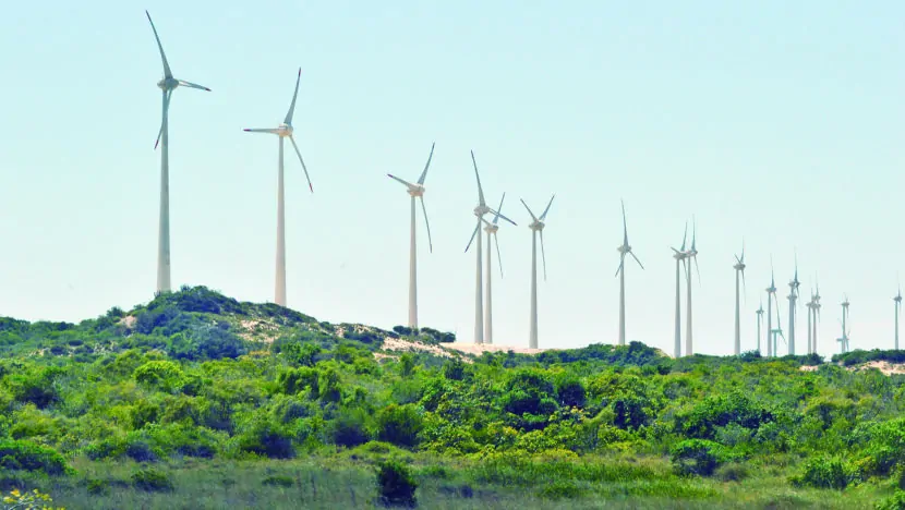 Destaque na produção de energia eólica em terra, RN avança para geração no mar