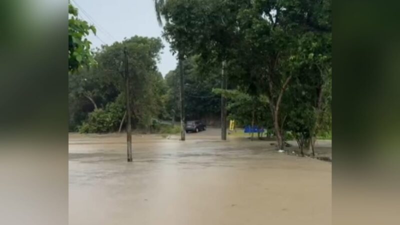 João Pessoa registra 212,6 milímetros de chuvas em 24h; bairros ficaram alagados, árvores caíram e transporte foi afetado