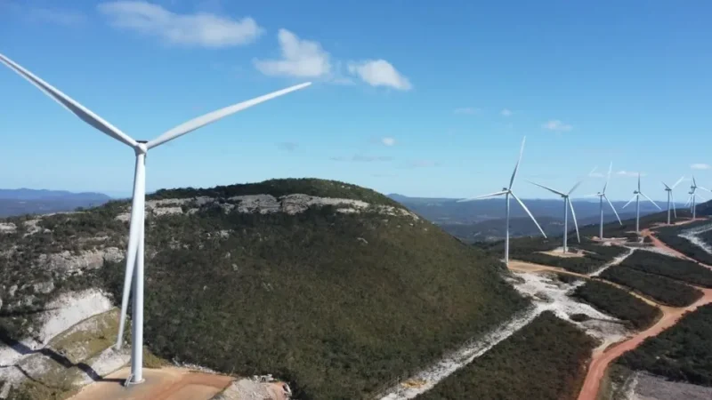 Uma em cada 3 pessoas ocupadas na Bahia atua nos “setores verdes” e “potencialmente verdes”, aponta estudo
