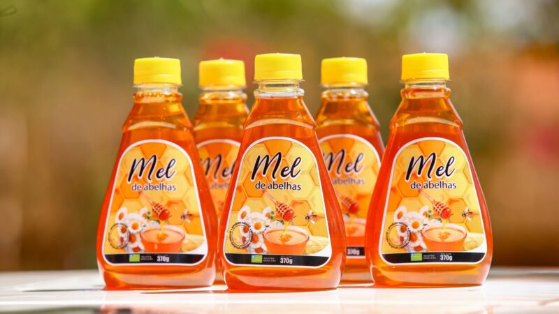 Após Tarifaço, Governo realiza estudo de novos mercados para o mel do Piauí