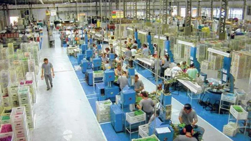 Paraíba vai ter o quarto maior crescimento do setor industrial no país, prevê Banco do Brasil