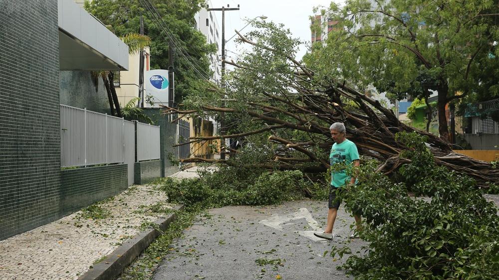 Inmet emite alerta de ‘perigo potencial’ para vendaval em 18 cidades do CE esta semana; veja quais
