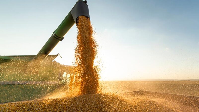 Piauí ocupa 5ª posição em exportações no Nordeste e lidera no país na venda de mel natural
