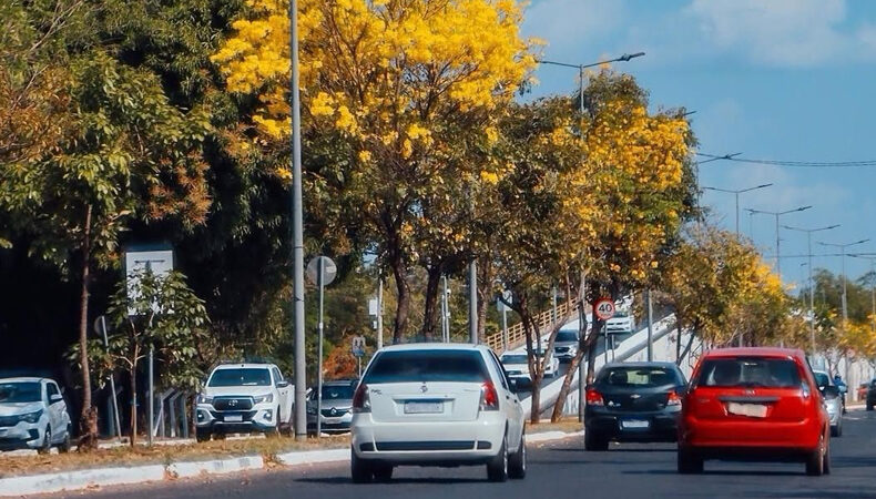 Prolongamento da Av. Piauí será interditado para desfile cívico em Timon