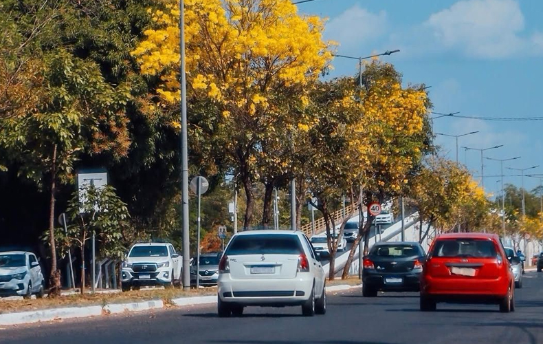 Prolongamento da Av. Piauí será interditado para desfile cívico em Timon