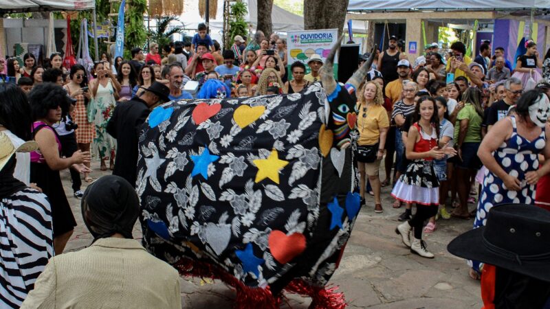 Exposição fotográfica valoriza manifestações culturais e naturais do Piauí