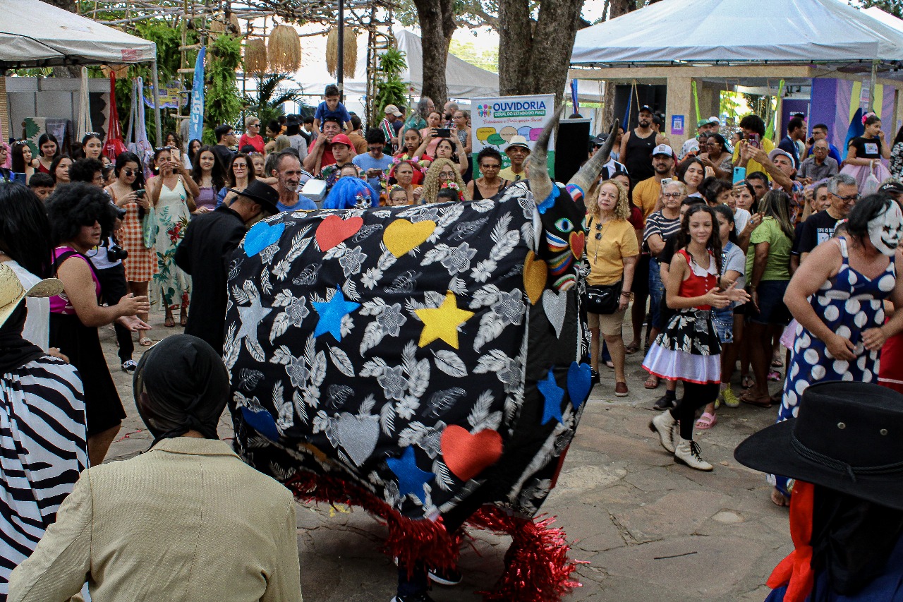 Exposição fotográfica valoriza manifestações culturais e naturais do Piauí