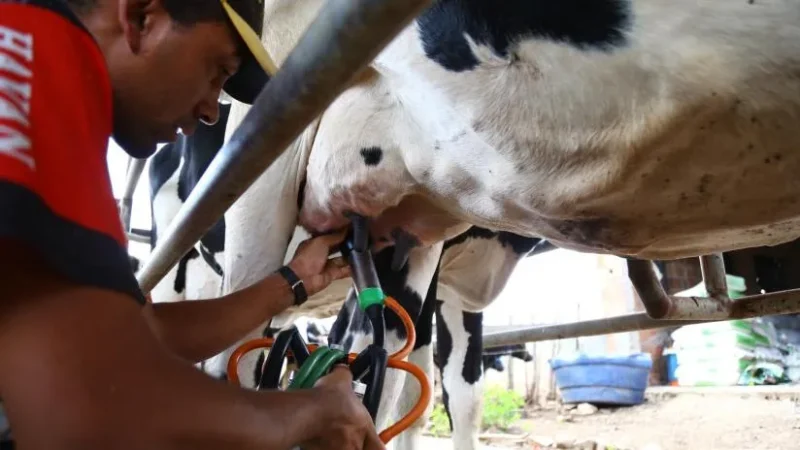 Edital para construção da Adutora do Leite é lançado pelo Governo do Estado