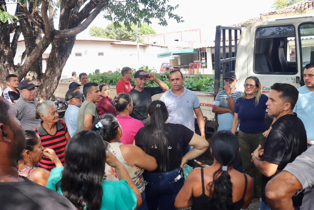 Prefeitura de Castelo do Piauí realiza entrega de 800 mudas a agricultores