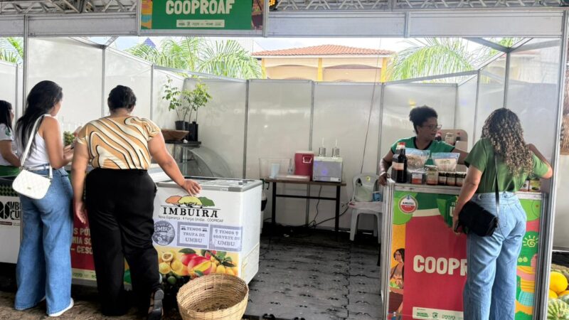 16º Festival do Umbu fortalece a agricultura familiar e movimenta economia de Manoel Vitorino e região