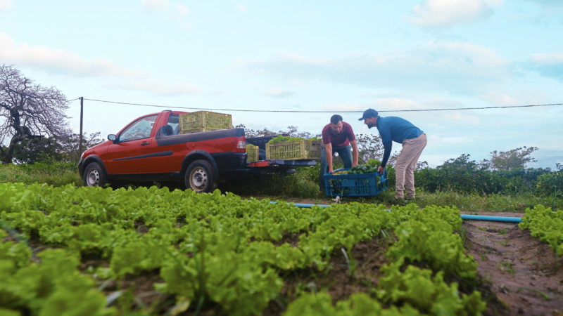 Alagoas sedia reunião da Câmara Temática da Agricultura Familiar do Consórcio Nordeste
