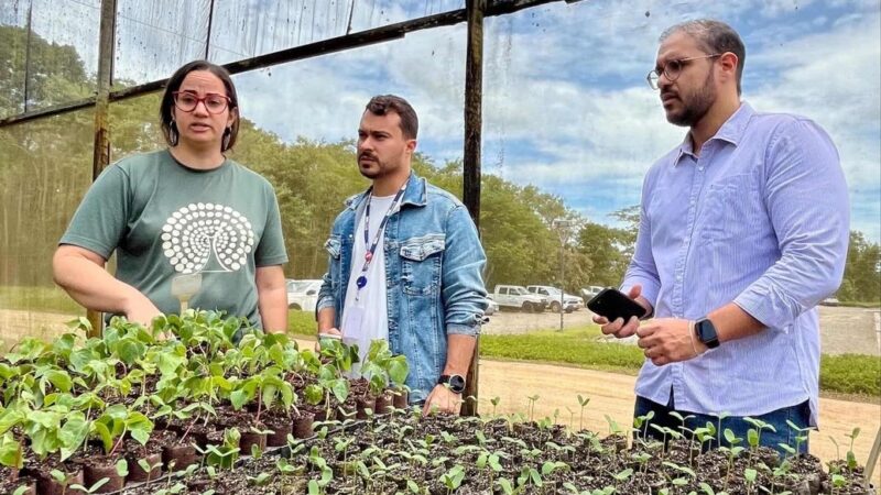 Sema visita viveiros no Extremo Sul para fortalecer política de recomposição florestal