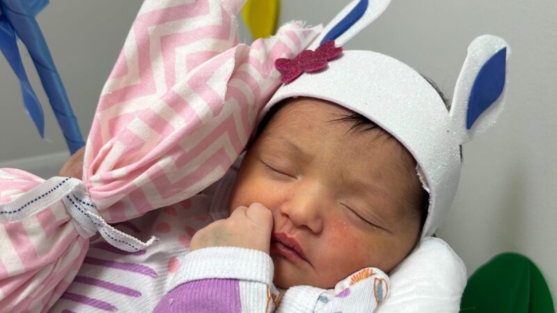 Ensaio de Páscoa leva acolhimento e leveza à rotina hospitalar na Maternidade Frei Justo Venture, em Seabra