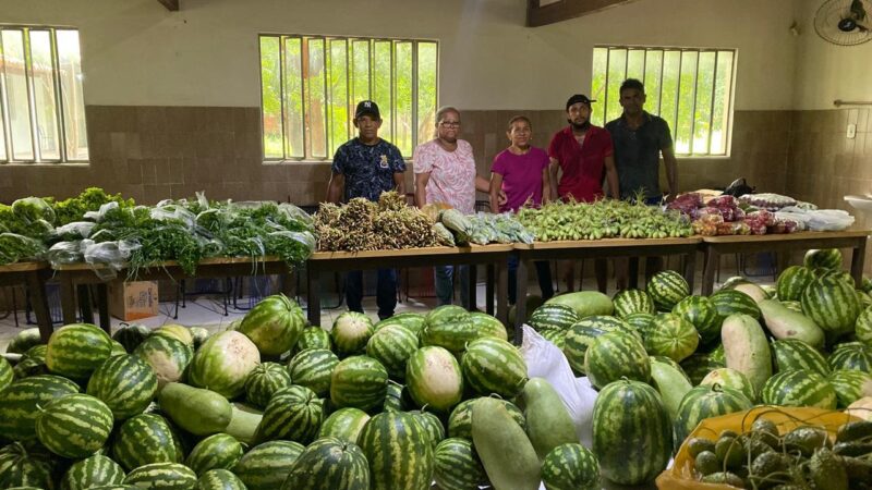 Programa de Alimentação Saudável entrega 100 toneladas de alimentos a 6 mil famílias em fevereiro