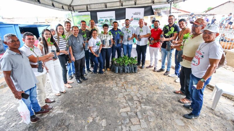 SAF entrega 1.000 mudas de caju para agricultores familiares de Santa Cruz dos Milagres
