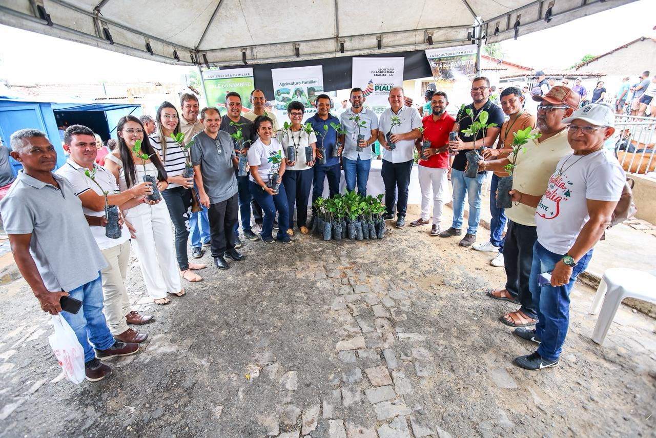 SAF entrega 1.000 mudas de caju para agricultores familiares de Santa Cruz dos Milagres