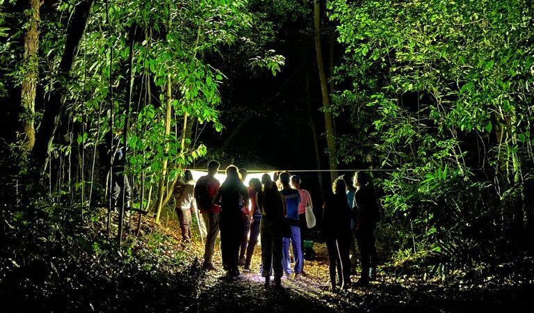 Jardim Botânico realiza trilhas temáticas na programação do Dia Nacional da Mata Atlântica