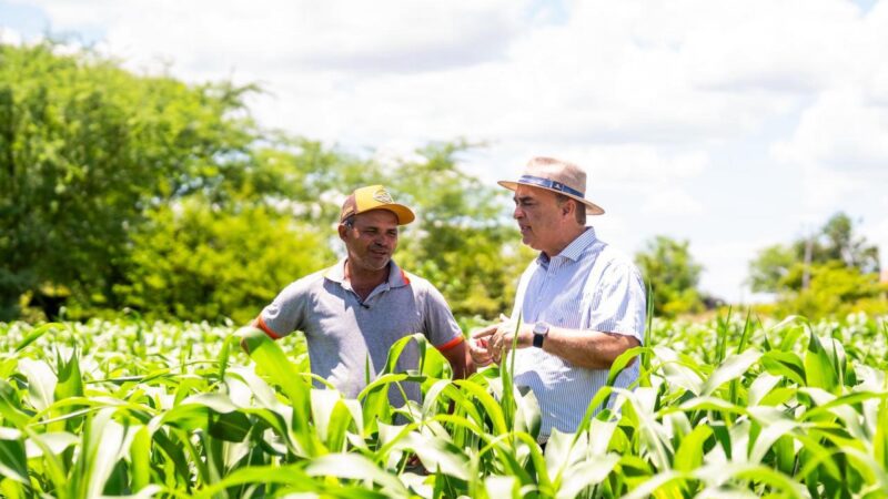 Secretaria de Agricultura prorroga pagamento das adesões ao Garantia-Safra 25/26